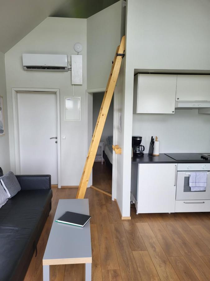 Holar Countryside Cabin 1 เซลฟอส ภายนอก รูปภาพ